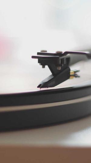 泛目录代做排名截图3