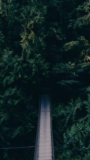 最新蜘蛛池链接截图1