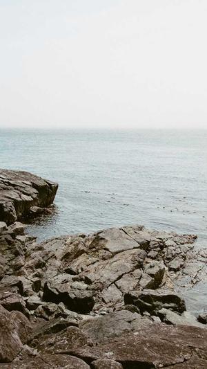 毕节市网站建设截图3