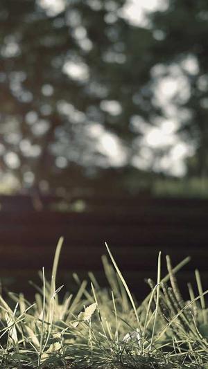 网站建设套餐截图3