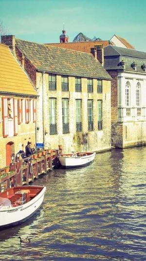 seo管理工具截图1