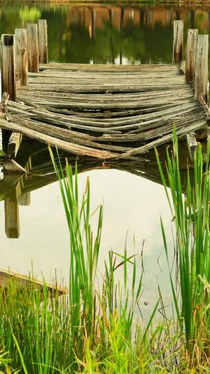 seo兼职工具截图2