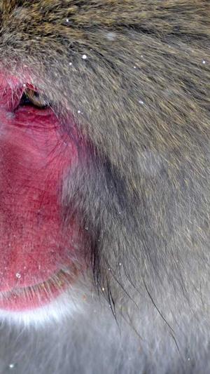 招商网站建设截图1