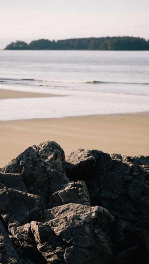 搭建蜘蛛池视频截图1