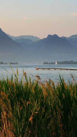 网站做seo优化截图1