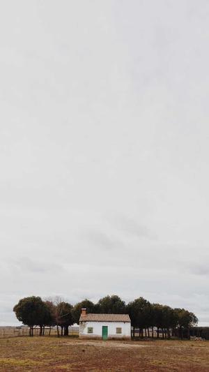 专业的网站建设公截图3