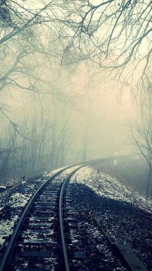 北京seo推广工具截图3