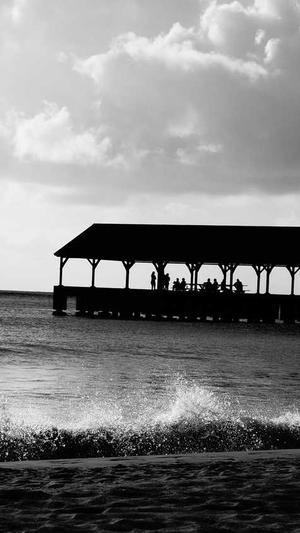 塘沽网站建设截图2