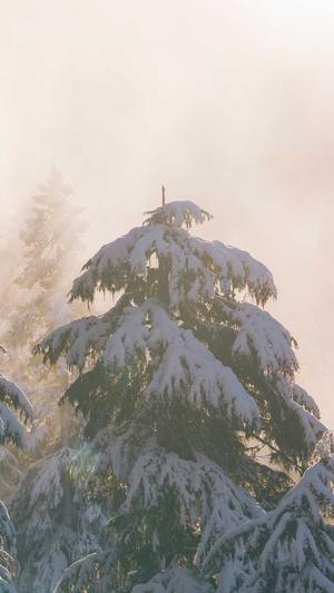 SEO 站长工具截图5