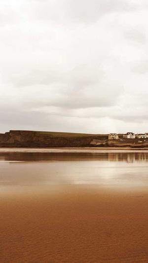 东莞seo网络优化工具截图2