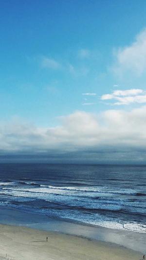 优化seo公司截图3