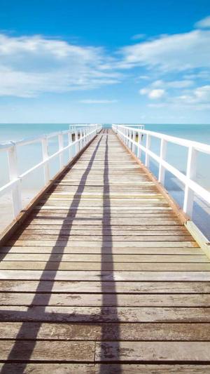 seo常用的优化工具截图4