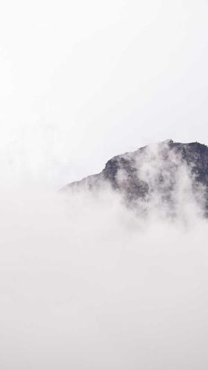 网站建设 推广截图2