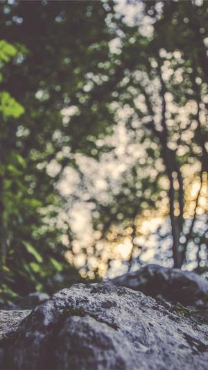 蜘蛛池 程序截图2