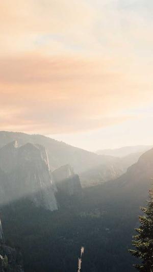 seo优化常用工具有哪些截图4