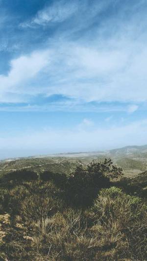 蜘蛛池域名使用久了截图3