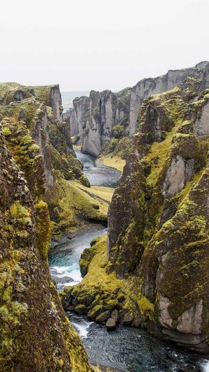 小霸王蜘蛛池源码截图2