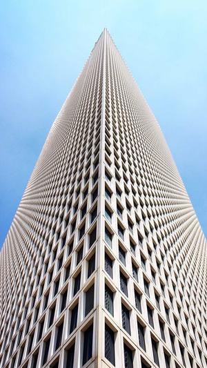 乌鲁木齐seo优化截图2