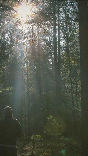 黑帽蜘蛛池怎么搭建截图1